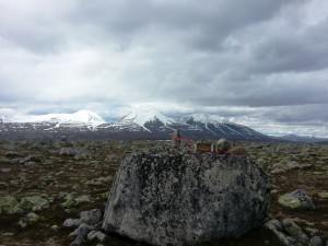 Ørsjøvola 968 moh
