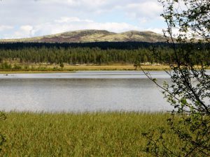 Veslesølensjøen, utsikt mot Triklettan.